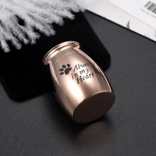 (Gold-color, Silver) Always In My Heart Cremation Urn Pet Urn Dogs Urn Cats Urn Memorial Jewelry for Human Pet Ashes