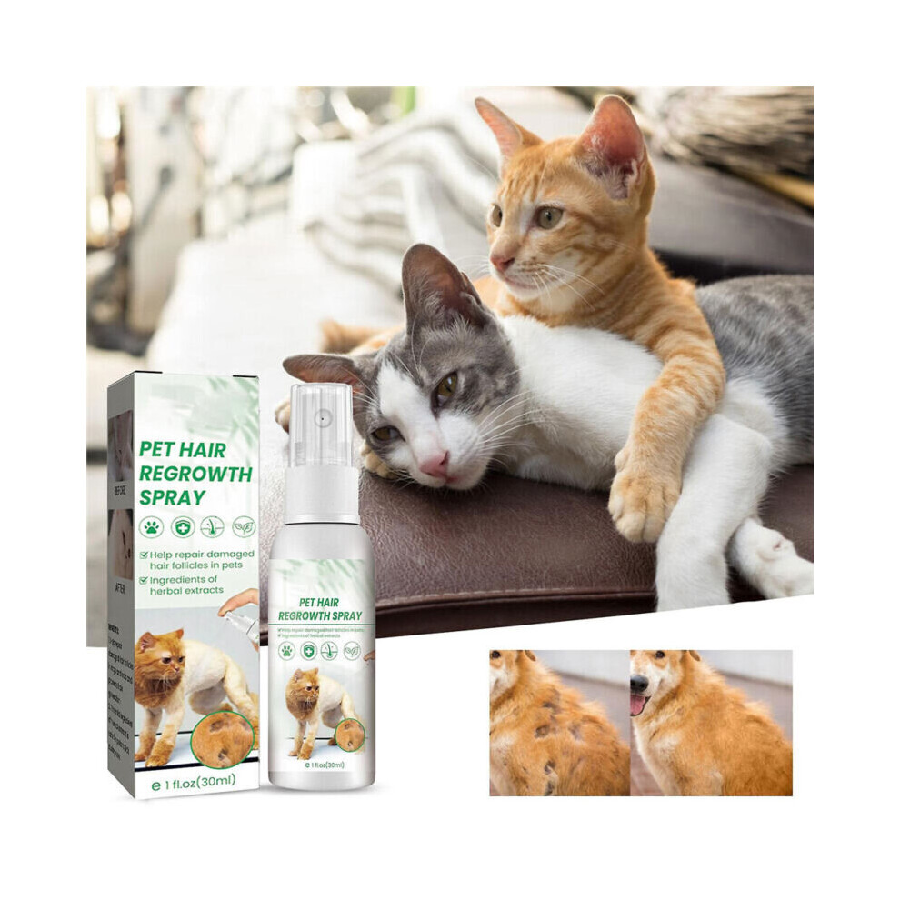 Cat Detangler Spray for Matted Hair | Leave In Hair Conditioner Spray | Pet Hair Regrowth Spray for Cats & Dogs, Safe Pet Supplies, 30ml