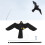 Flying Hawk Kite Realistic Garden Bird Repeller Scarer with 4m Telescopic Pole 2