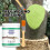 BONSAI TREE WOUND TREATMENT AGENT PLANT GRAFTING CUTTING REPAIR PASTE 1