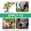 BONSAI TREE WOUND TREATMENT AGENT PLANT GRAFTING CUTTING REPAIR PASTE 5