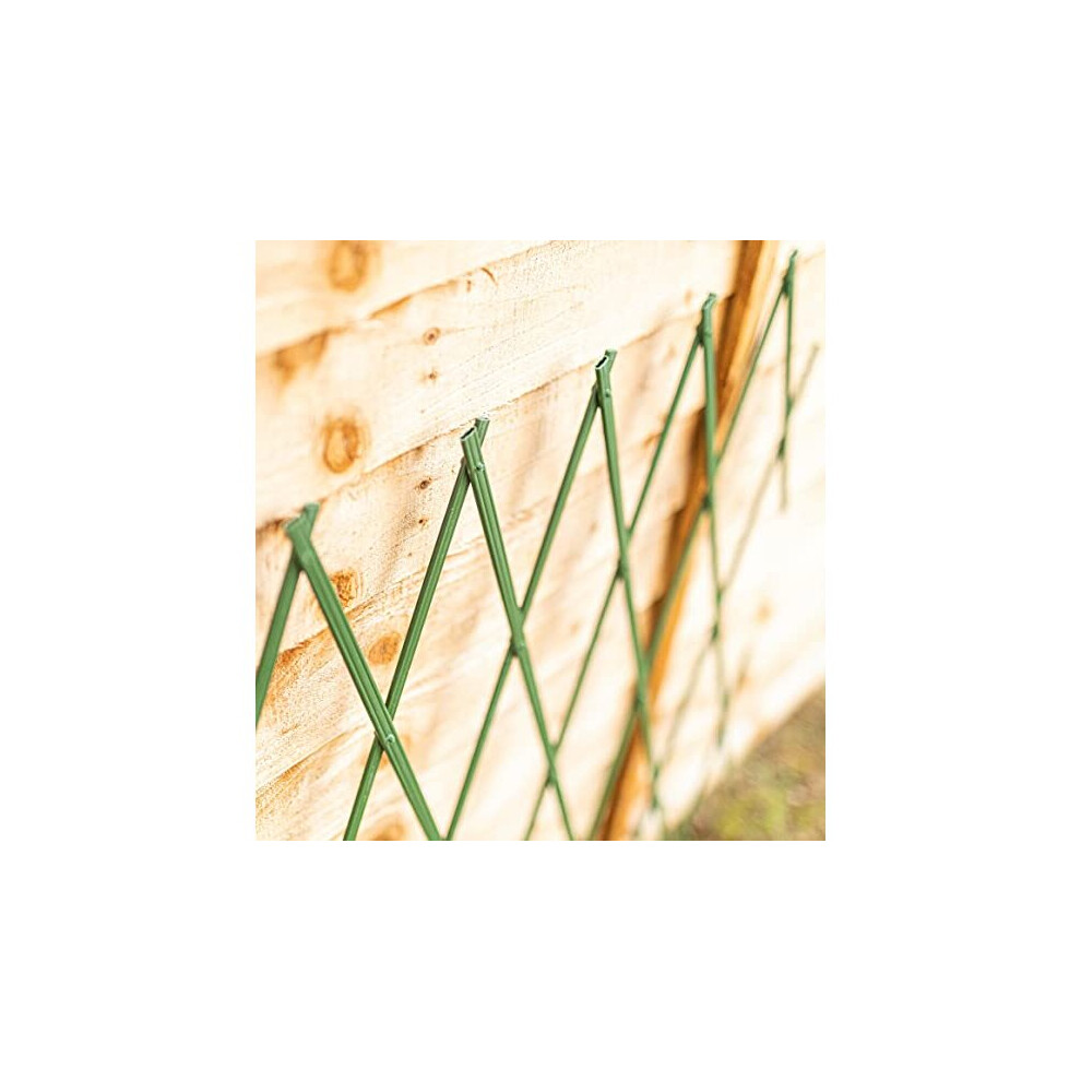 3 Pack Expanding Green Plastic Trellis 180 x 60cm