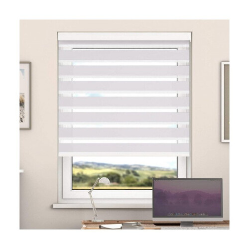 Day And Night Zebra Roller Blind with Cassette(Buff,  170cm x 220cm)