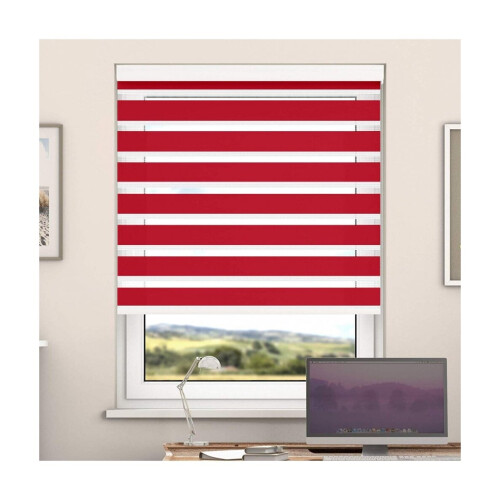 Day And Night Zebra Roller Blind with Cassette(Pepper,  60cm x 220cm)