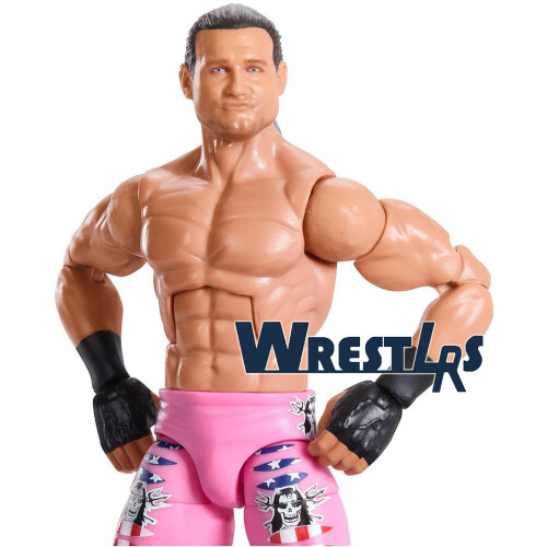 WWE Dolph Ziggler - WWE Elite SummerSlam 23 2
