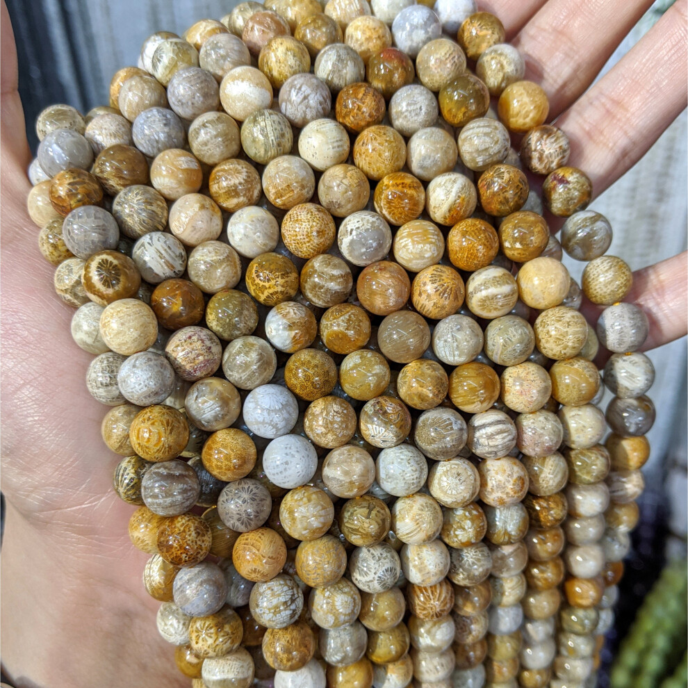Fossilized Coral Jaspers Natural Stone Beads Loose Round 6/8/10mm Beads Strand Coral Jaspers Gem Stone A-image-OPC-PBRR66D-NEW