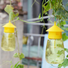 Reusable Fruit Fly Trap Killer Yellow Cage Drosophila Trap Fly Catcher