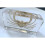 Hand Crab in Clear Block Education Specimen 6