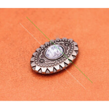 10PC Antique Silver Carved Red Turquoise Leathercraft Belt Handcraft Luggage Bag Collar Hardware Oval Western Concho Screwback