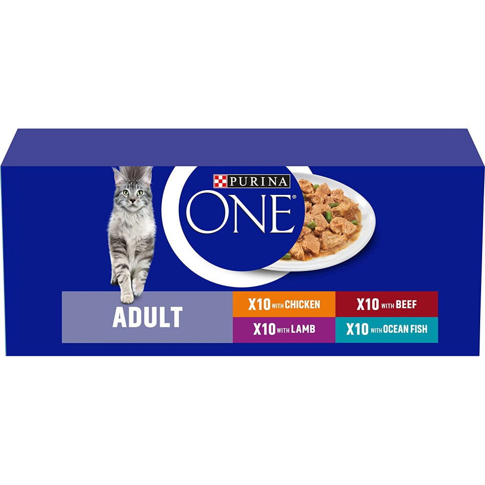 Purina ONE Adult Cat Food Mini Fillets in Gravy, 40 x 85g