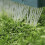 Artificial Lawn Garden Grass Carpet Brush Broom Leaf Rake Remove 9