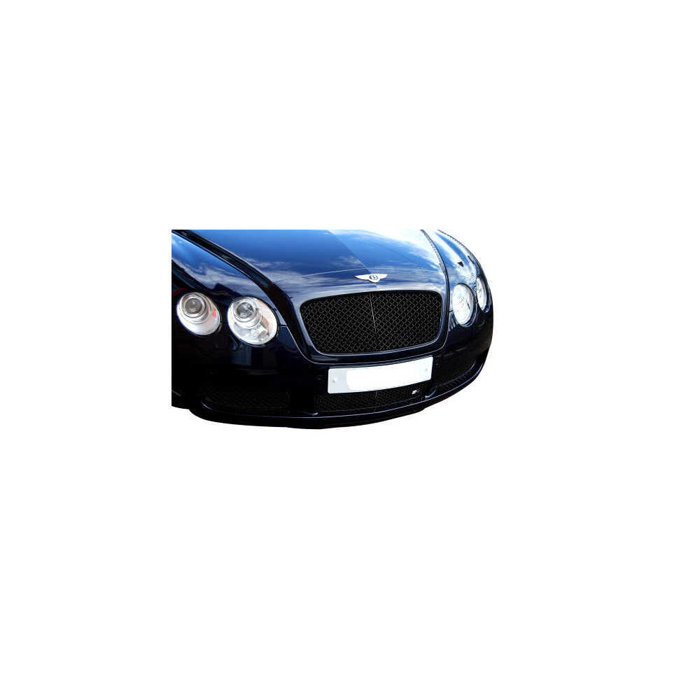 Zunsport (Black) Bentley Continental Gt Lower Grille (Grill) Set (2003 To 2007)