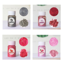N84D Pigment Powder Art Making Set Use in Soap Making Epoxy Resin Lip Gloss Nail Art Fine Powder Good Effect Non Toxic
