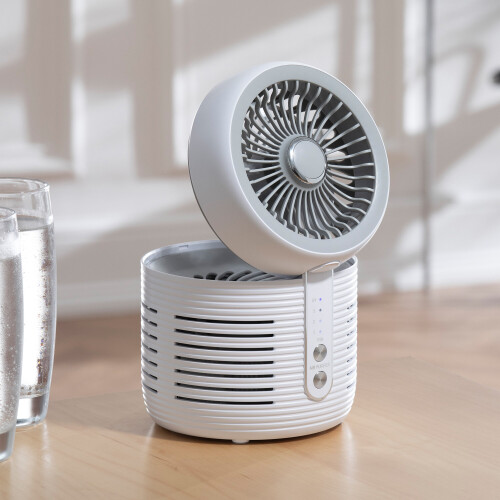 Daewoo 2 In 1 Air Purifier HEPA Filter With Fan Allergy Hay Fever