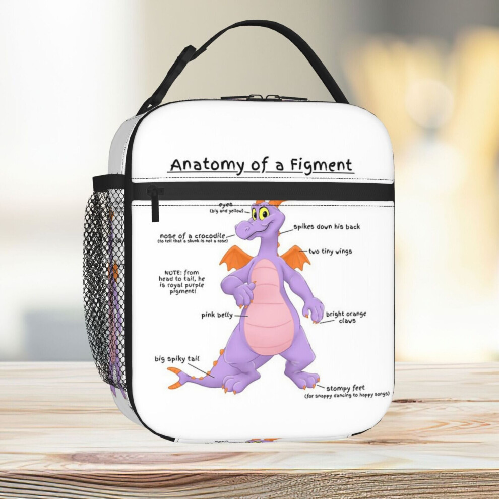 Lunch Bag Anatomy Of A Figment Tote Insulated Cooler Kids School Travel