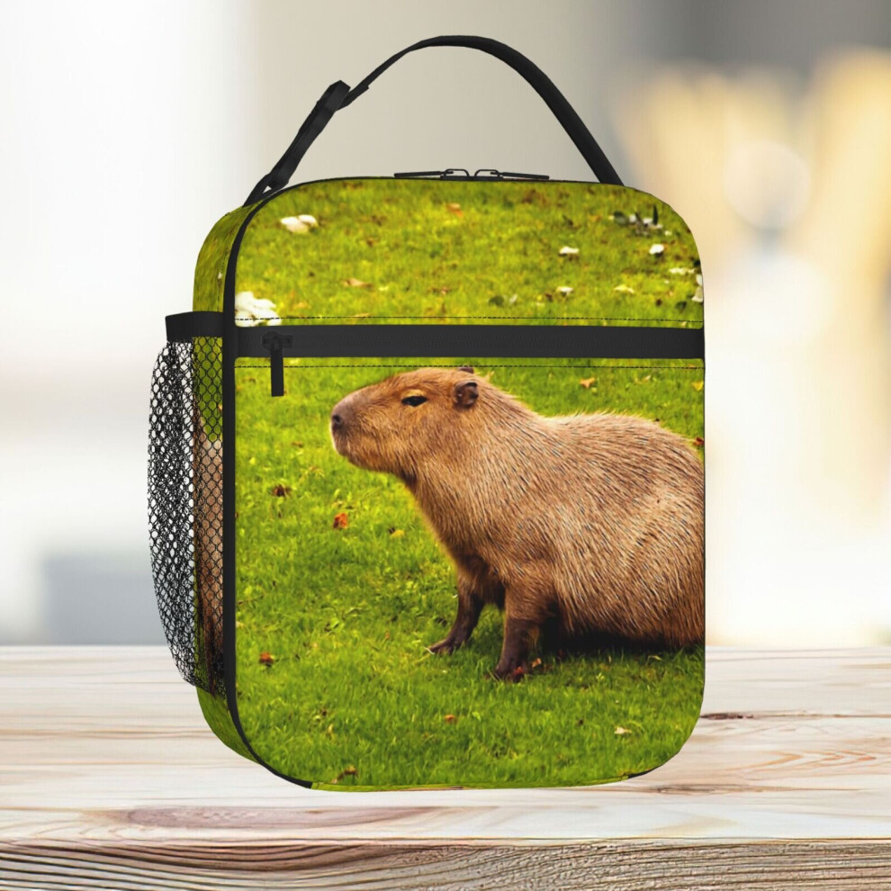 Lunch Bag Capybara Tote Insulated Cooler Kids School Travel