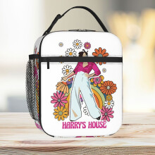 Lunch Bag Harry Styles Tote Insulated Cooler Kids School Travel