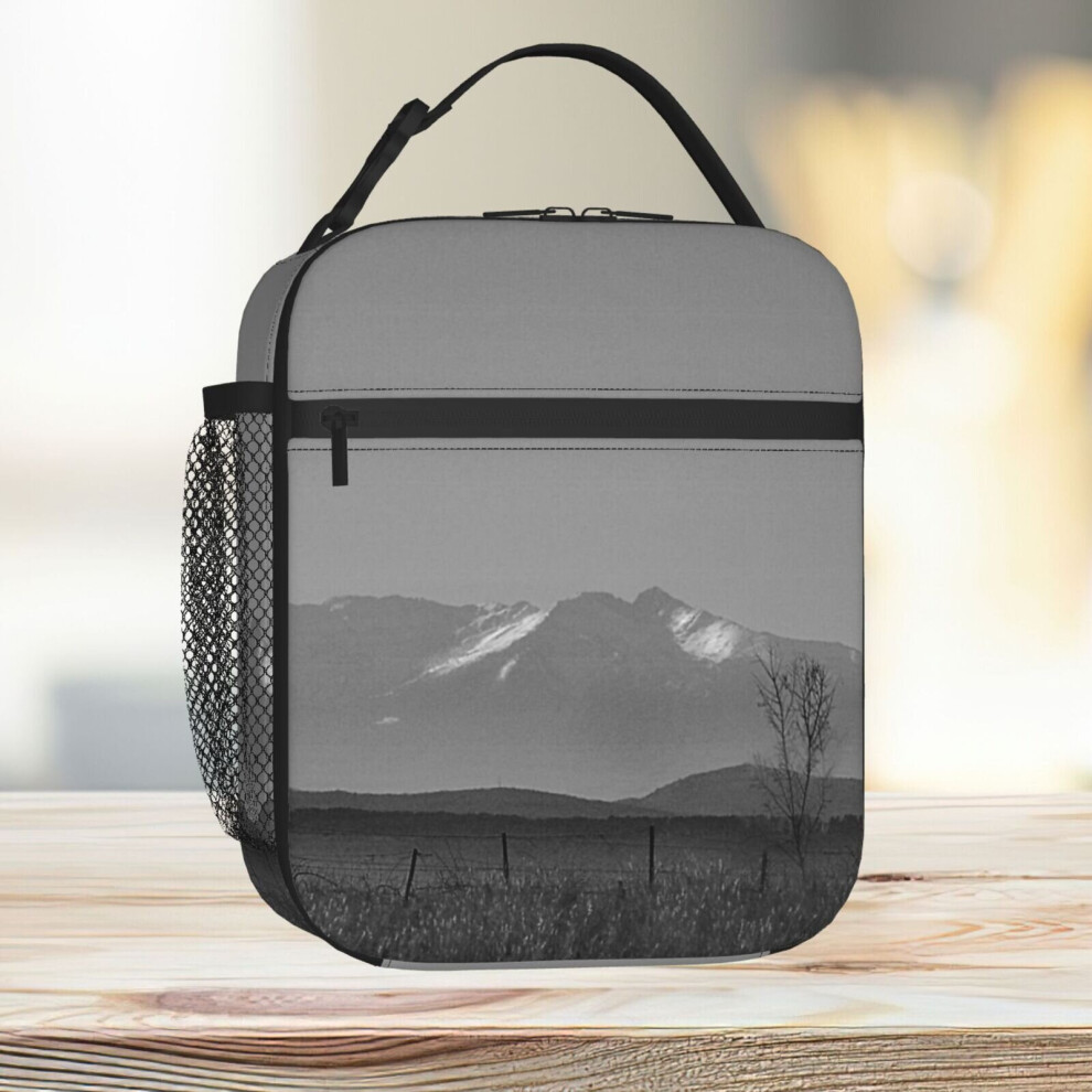 Lunch Bag The North Face Tote Insulated Cooler Kids School Travel