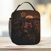 Lunch Bag Tarantula Tote Insulated Cooler Kids School Travel