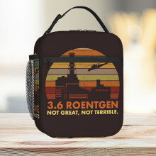 Lunch Bag 3.6 Roentgen Not Great, Not Terrible Chernobyl Nuclear Power Station Quote Tote Insulated Cooler Kids School Travel