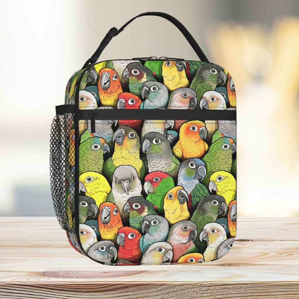 Lunch Bag Colour Of Conures Tote Insulated Cooler Kids School Travel