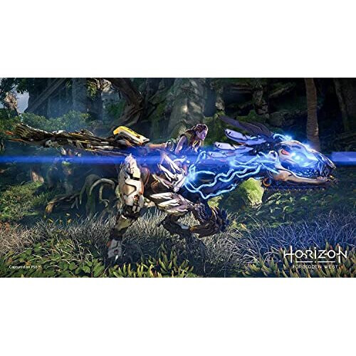 Sony Horizon: Forbidden West (PS5) (PS5) 2