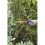 Spear & Jackson 4968PS Razorsharp Large Fixed Handle Pruning Saw with Cover 5