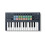 FLkey Mini — Portable 25-Key, USB, MIDI Keyboard Controller with FL Studio Integration for Music Production 1