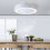 Living And Home LED Ceiling Fan Light Adjustable Wind Speed Dimmable Light with Remote Control 2
