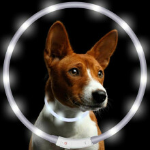 (White) 8 Colours RGB LED Flash Pet Dog Collars Light Anti Lost USB Rechargeable Night Safety