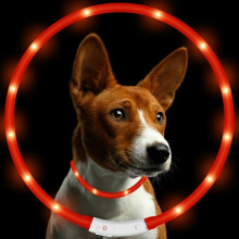 (Red) 8 Colours RGB LED Flash Pet Dog Collars Light Anti Lost USB Rechargeable Night Safety