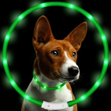 (Green) 8 Colours RGB LED Flash Pet Dog Collars Light Anti Lost USB Rechargeable Night Safety