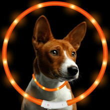 (Orange) 8 Colours RGB LED Flash Pet Dog Collars Light Anti Lost USB Rechargeable Night Safety