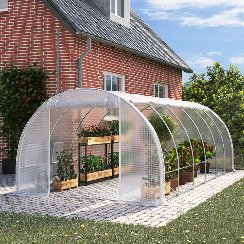 (6M*3M*2M) White Outdoor Polytunnel Garden Grow Greenhouse Roll-up Side Walls Poly Tunnel