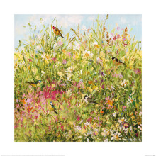 Fletcher Prentice (Field Border)