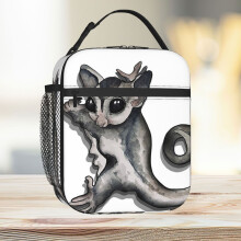 Lunch Bag Sugar Glider Cling Tote Insulated Cooler Kids School Travel