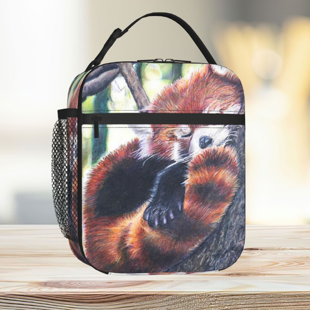 Lunch Bag Sleeping Red Panda Drawing Tote Insulated Cooler Kids School Travel