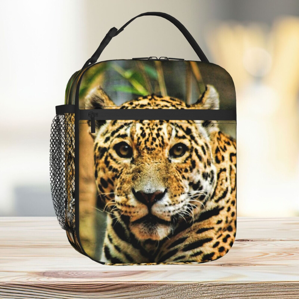 Famgem Lunch Bag Jaguar Tote Insulated Cooler Kids School Travel