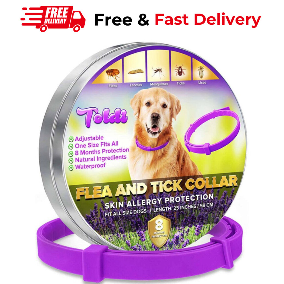 Toldi Flea-Treatment-for-Dogs, Adjustable Flea-Collar-Dogs, 8 Months Protection