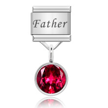 Father 12 Month Birthday Colour Dazzling CZ Links Charm Fit 9mm Bracelet Stainless Steel Jewelry Making DJ576