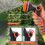 (Blue) Multi-function Lawn High Pressure Spray Gun 2