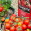 Levington Levington Tomorite Liquid Tomato Food, Concentrate, 1L 5
