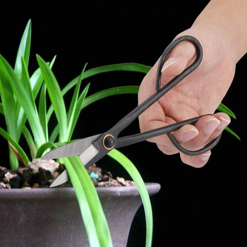 Bonsai Pruner 8.07 Inch Long Handled Leaf Bud Scissor Tool 2