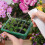 Plant Seedling Germination Starter Plate with Lid and Switchable Holes 6