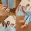 spring and solid soft bottom round head comfortable girls slippers 2175 4