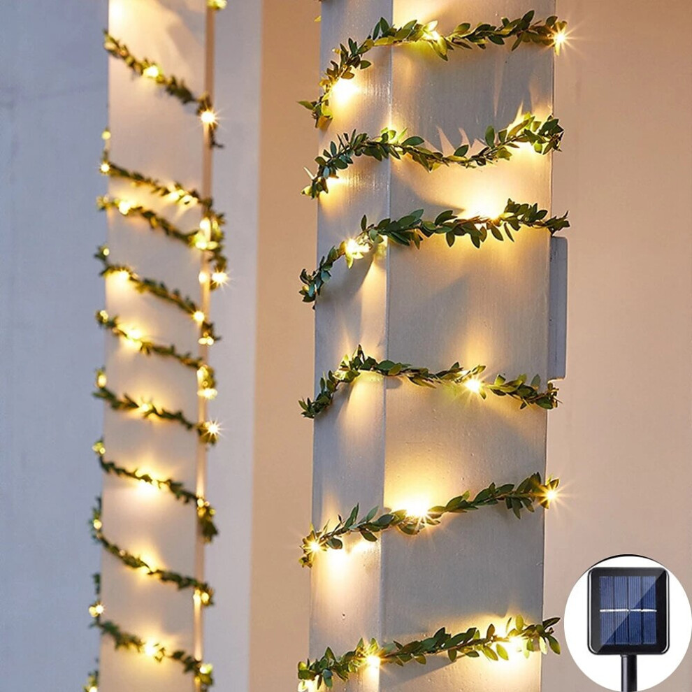 Outdoor Solar String Light Outdoor Waterproof Solar Leaf 5M 50LEDs Fairy String Lghts Christmas Wedding Garden Patio Decoration LED Solar Garden Light-image-OPC-PBT7P2S-NEW