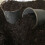 Multi-Purpose Compost. Premium Grade 20litres. 4