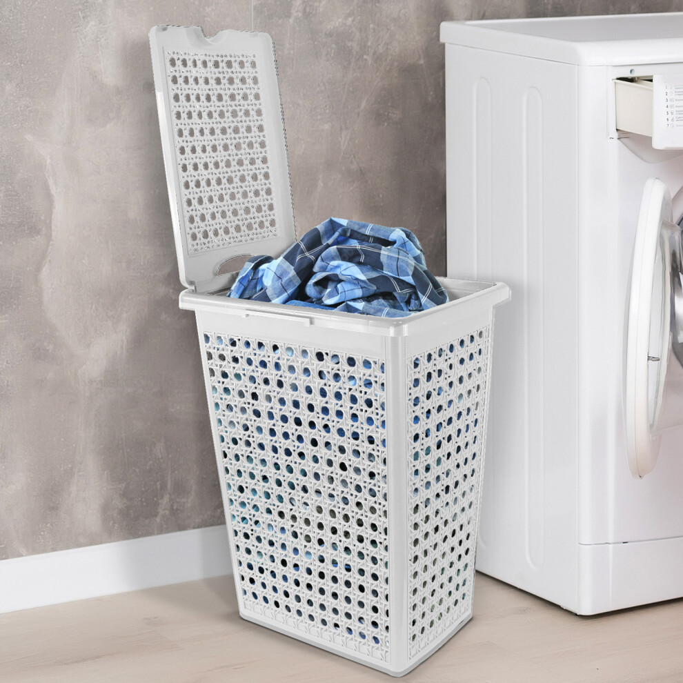 Laundry Washing Basket Hamper Storage Bathroom Linen Clothes Lid Rattan Plastic