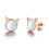 925 Sterling Silver Earrings Women's Stud Earrings Opal Earrings Cat Ear Jewelry Earrings for Women Girls 1