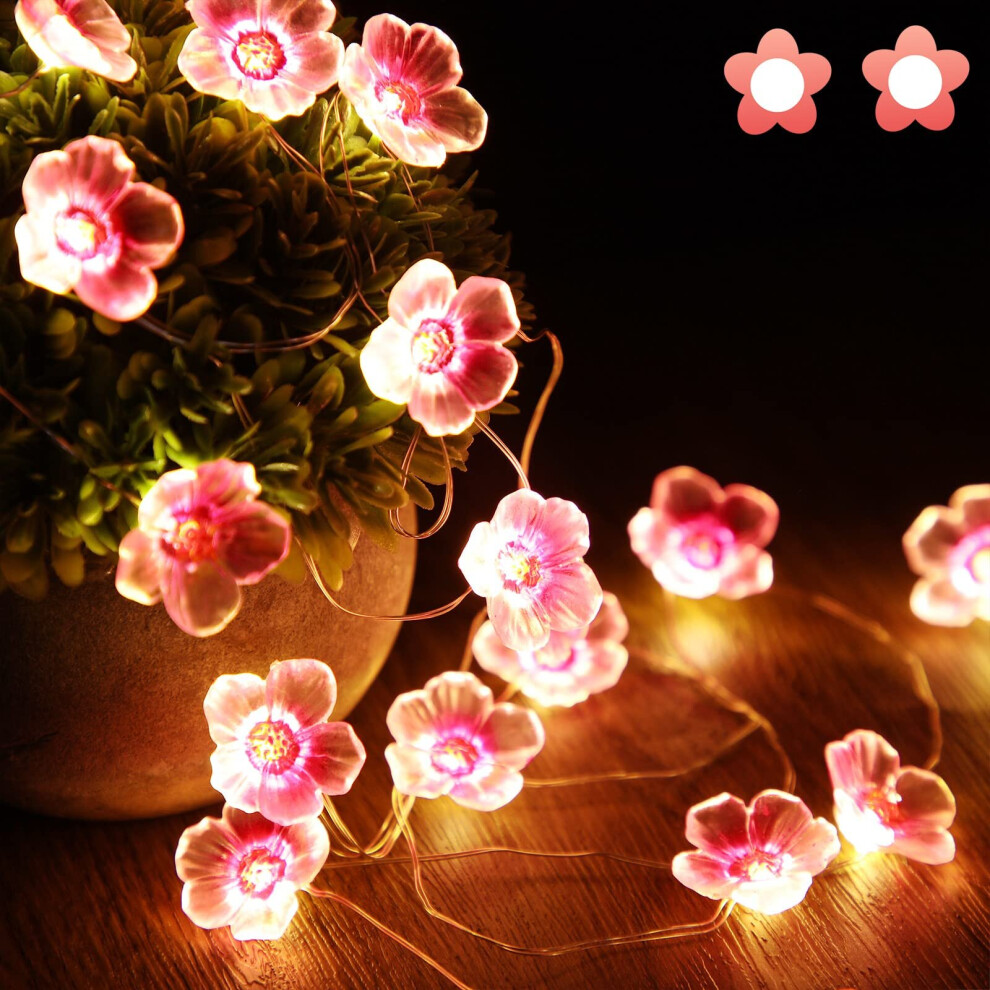30 LED Pink Cherry Blossom Fairy Lights, USB and Battery Operated, for Christmas, Girls Room, Bedroom, Indoor, Outdoor, Wedding, Valentine's Day